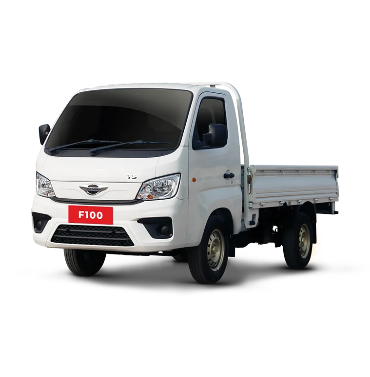 Forland F100 - Vehículo comercial