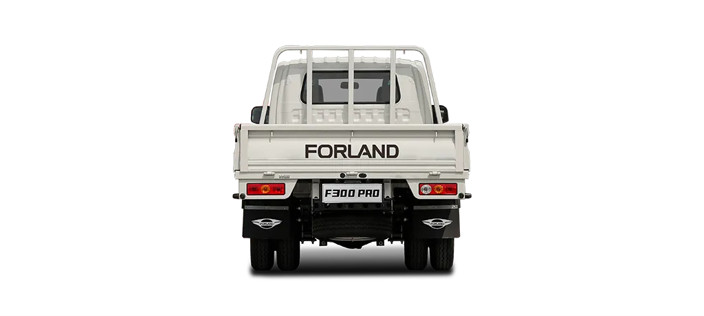 Forland F300